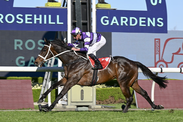 Lindermann wins the G2 Hill Stakes - image Bradley Photos