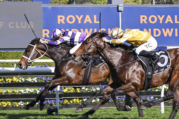 Lindermann Holds Off Sir Delius To Win The G2 Chelmsford Stakes - Image Bradley Photos