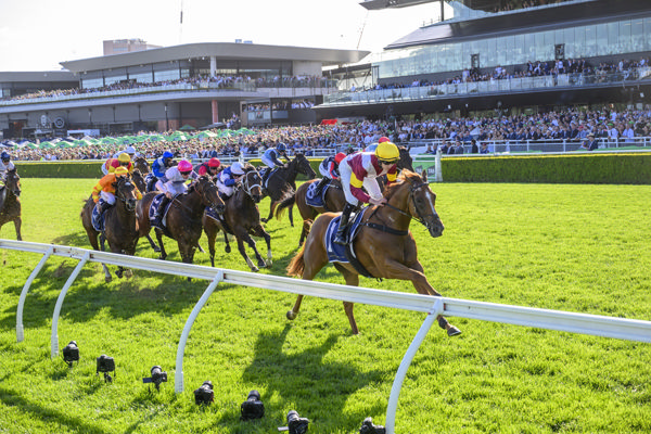 Linebacker was a dominant winner of the Gr.3  Silver Eagle (1300m) at Randwick on Saturday. Photo: bradleyphotos.com.au