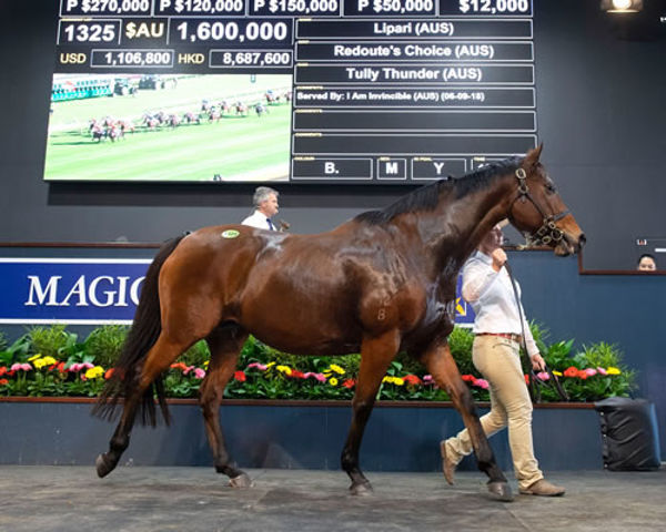 Lipari sold for $1.6million at the 2019 MM National Broodmare Sale. 
