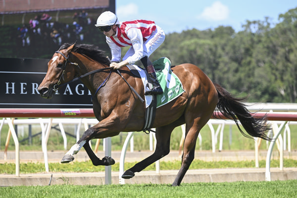 Listen Sweetheart was a promising winner at Wyong on Thursday - image Bradley Photos 