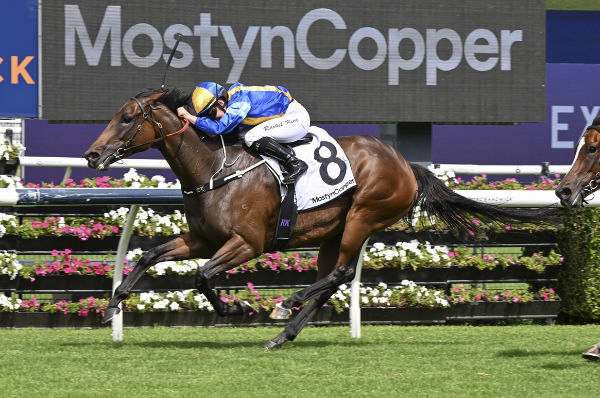 Little Baia wins the G3 Aspiration Quality - image Bradley Photography 