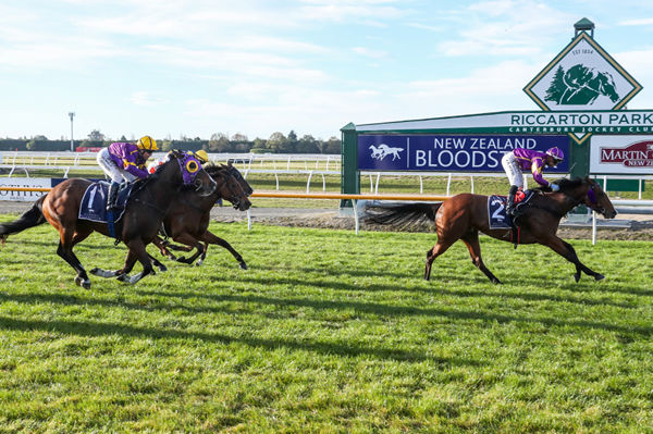 Live Drama stretches away from stablemate Khimar War to win the Listed Daphne Bannan Memorial Great Easter Stakes (1400m) at Riccarton Photo Credit: Race Images South