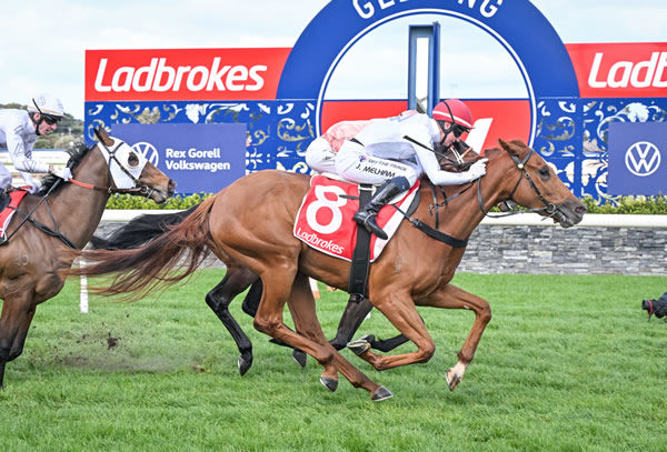 Live gets up on the line to win at Geelong - image Reg Ryan / Racing Photos