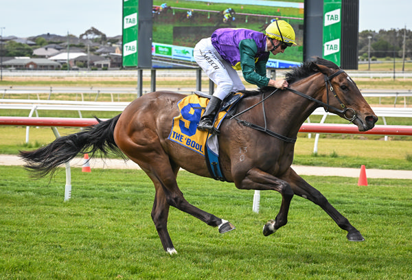 Lively wins with ease - image Reg Ryan / Racing Photos