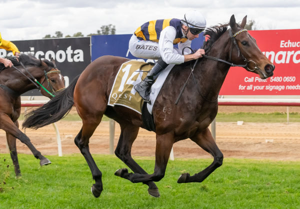 Loafer wins easily at Echuca - image Jay Town / Racing Photos