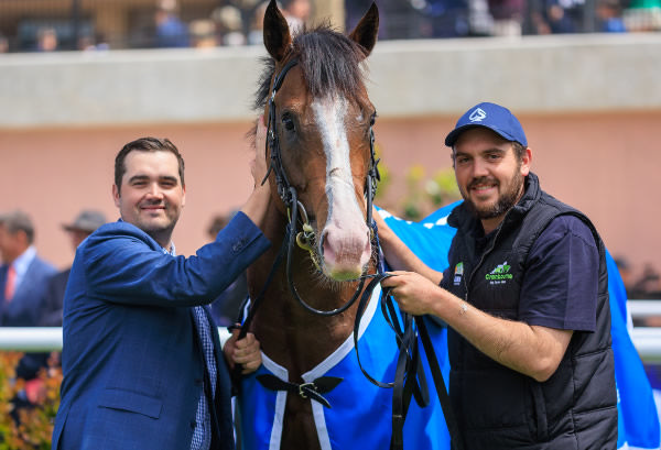 Lofty Arch is the first SW for his trainer Alex Rae - image Grant Courtney