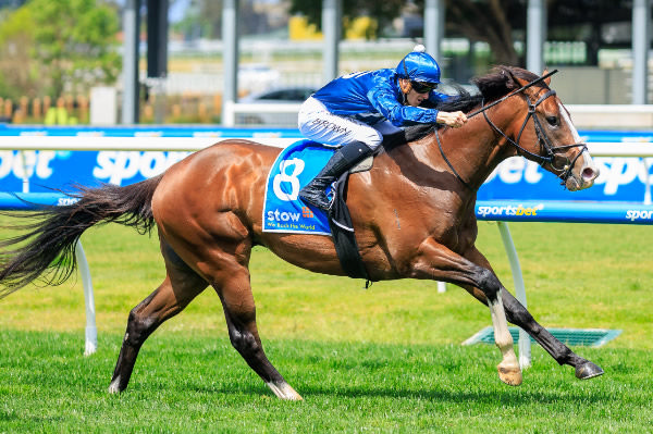 Lofty Arch wins the Gothic Stakes - image Grant Courtney 