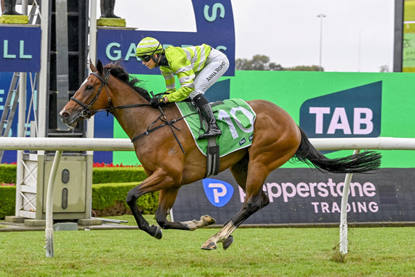 Impressive Maiden Victory For Russian Revolution's Long Legs - Image Bradley Photos