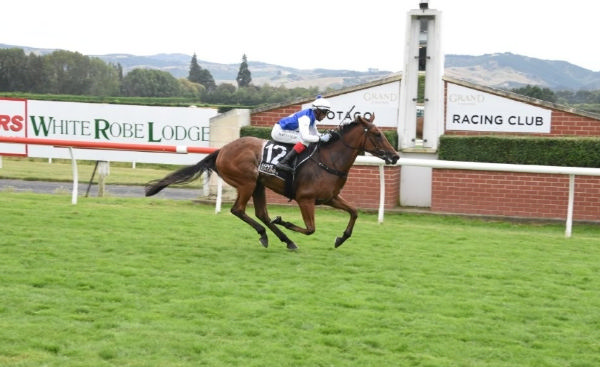 Loose Sally winning Saturday’s Listed Property Brokers – Ray Kean Dunedin Guineas (1600m) at Wingatui.  Photo: Taylor Stong