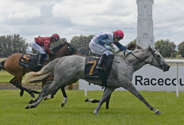 Loosespender puts his head in front where it matters most to record a debut win at Hawera Photo Credit: Race Images – Peter Rubery