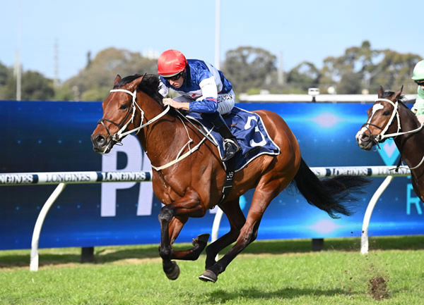Lord Ardmore wins at Rosehill - image Steve Hart
