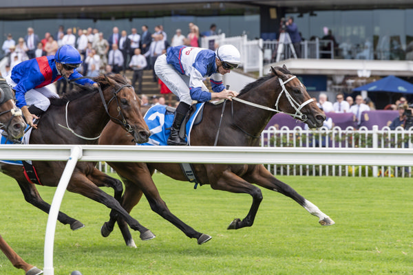 Lord Penman holds strong in the Racing and Sports Handicap (1400m) at Rosehill Gardens. Photo: Bradley Photos