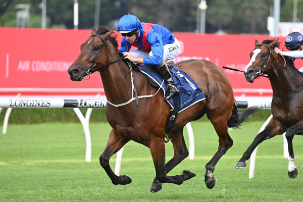 Kiwi bred Lost and Running is back in work the the Everest his target race - image Steve Hart