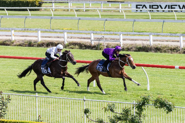 Lot 119 was the second quickest of the day on account of Riverrock Farm.