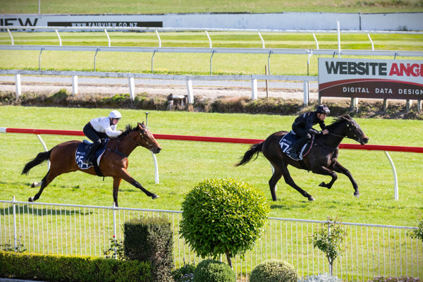 Lot 174 - I Am Invincible colt from Shillelagh is the quickest overall. 