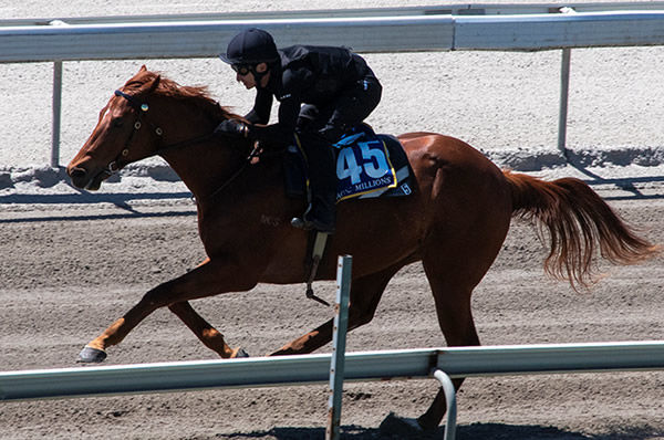 Lot 45 breezed in 10.30 seconds - click to see his page and watch him gallop.
