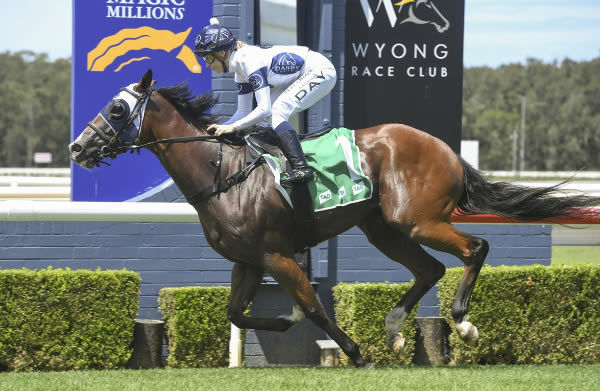 Moretti salutes at Wyong in 2020 with Louise Day in the saddle - Bradley Photography