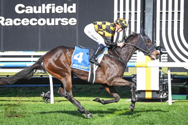 Lovazou wins at Caulfield - image Reg Ryan/ Racing Photos