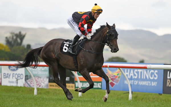 Love Letter will contest the Gr.2 Little Avondale Lowland Stakes (2100m) at Hastings on Wednesday. Photo: Race Images Palmerston North