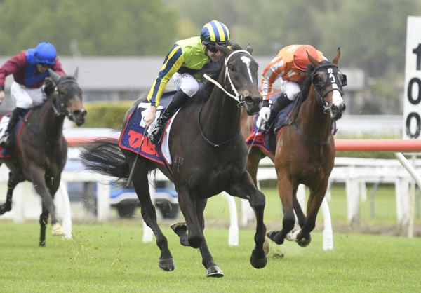 Love Poem will contest the Gr.2 Windsor Park Stud Soliloquy Stakes (1400m) at Ellerslie on Saturday.  Photo: Kenton Wright (Race Images)