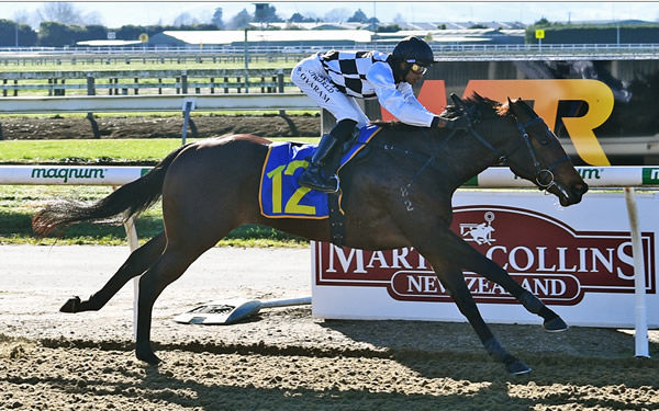 Love The Sort winning at Cambridge on Wednesday.  Photo: Kenton Wright (Race Images)