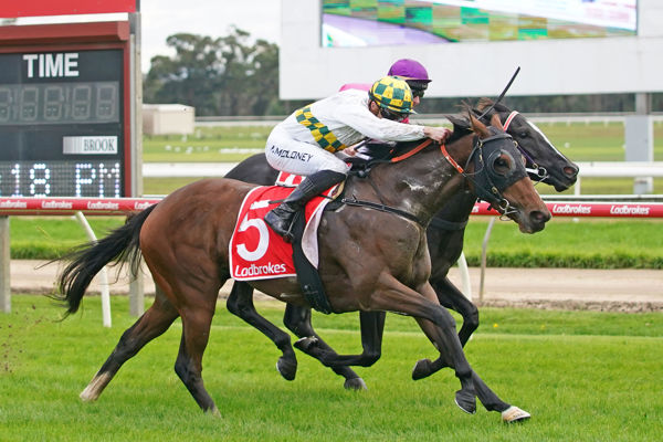 Galileo filly Love Takes Time makes a winning debut  (image Scott Barbour/Racing Photos)