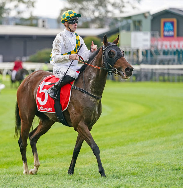 Love Takes Time won on debut at Moe (image Scott Barbour/Racing Photos)