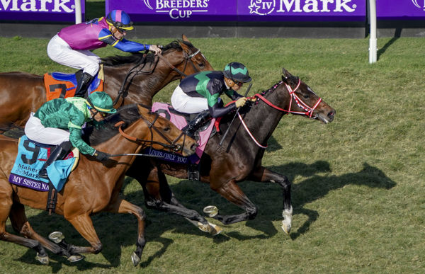 Loves Only You takes the late split (image John Voorhees/Eclipse Sportswire/Breeders Cup)