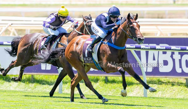 Luana Miss wins on debut at Ascot - image Western Racepix