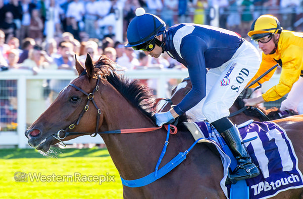 Luana Miss wins the $500,000 Listed Placid Ark Stakes - image Western Racepix
