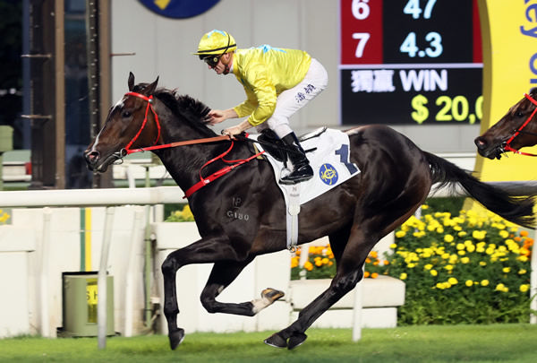 Lucky Sweynesse is the reigning HK Champion Sprinter - image HKJC 