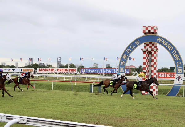 Lucky Magic (NZ) takes out the RM300,000 Penang Gold Cup (2000m). Photo: Jason Toh