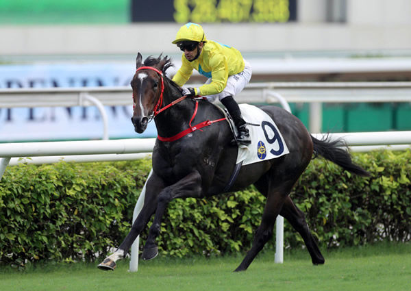 Lucky Sweynesse winning at Sha Tin on Sunday. Photo: HKJC