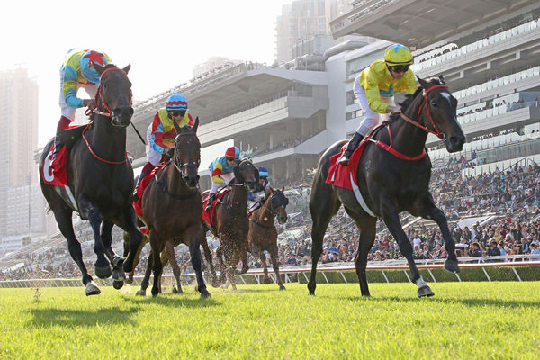 Lucky Sweynesse is back in winning form - image HKJC