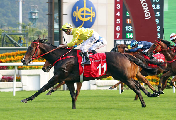 Lucky Sweynesse leads an NZ-bred trifecta in Hong Kong - image HKJC