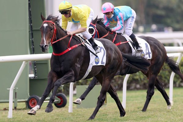 Lucky Sweynesse wins the G3 Chinese Club Challenge Cup - image HKJC  