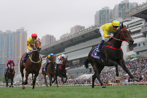 The sale features a half-brother to Champion HK Sprinter Lucky Sweynesse to be offered as Lot 