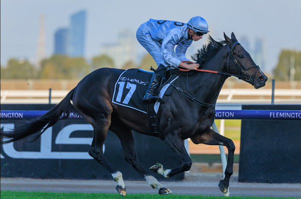 $1.9million earner Lunar Flare has been a star performer for Fiorente - image Grant Courtney