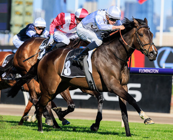 Lunar Flare wins the G3 Bart Cummings - image Grant Courtney