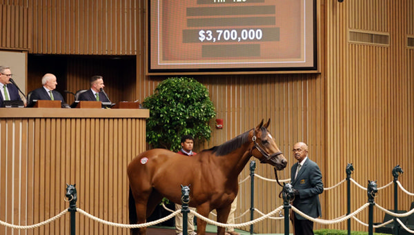 Lush Lips sold for $3.7million - image Keeneland