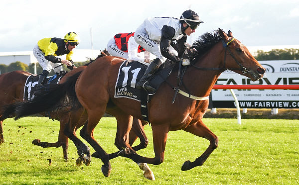 Lux Libertas winning her fourth consecutive race at Te Rapa on Sunday.  Photo: Kenton Wright (Race Images)