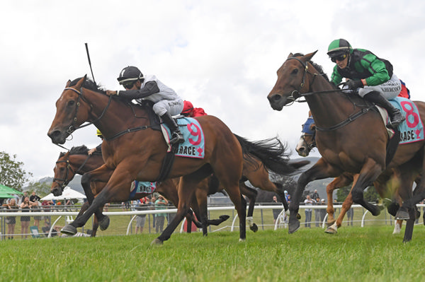 Lux Libertas winning the Gr.2 Bramco Granite & Marble Manawatu Challenge Stakes (1400m) at Trentham on Saturday.  Photo: Peter Rubery (Race Images)