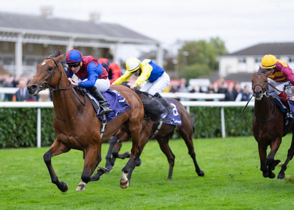 Luxembourg is a rising star for Camelot - image Coolmore