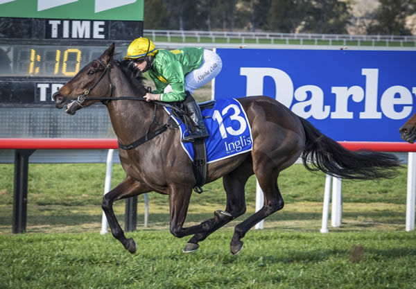 Mascherata winning at Scone. Photo: Bradleyphotos.com.au