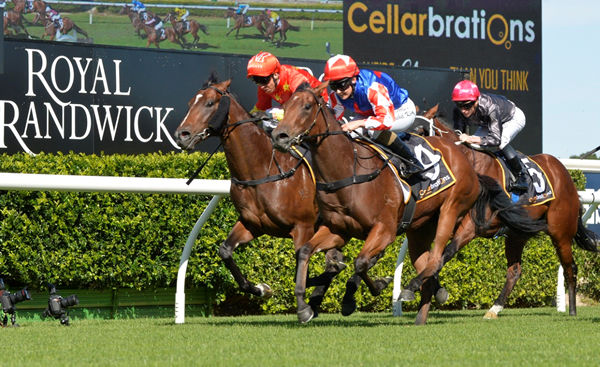 Macroura overpowers Wild Ruler for a Snitzel quinella - image Steve Hart