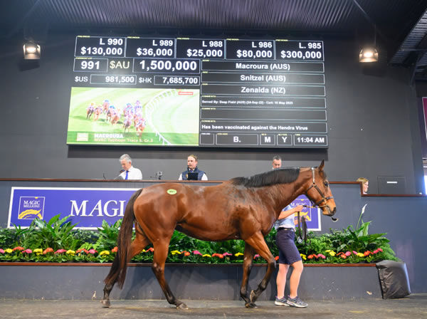 MM National Broodmare Sale Concludes- million Yulong Spend the Highlight
