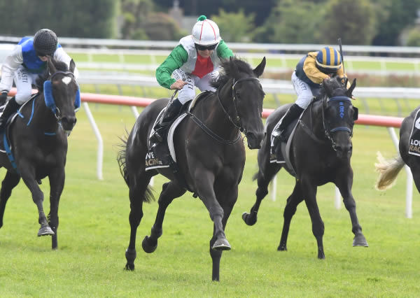 Mad Max winning at Otaki on Monday.   Photo: Peter Rubery (Race Images Palmerston North)