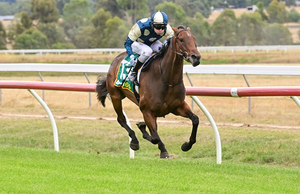 Madalsa cruises home on debut - image Brendan McCarthy / RAcing Photos