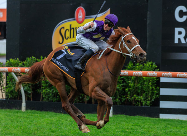 Madame Pommery won the 2022 G1 Thousand Guineas, a race now slated for the very end of the carnival in 2023  - image Grant Courtney 